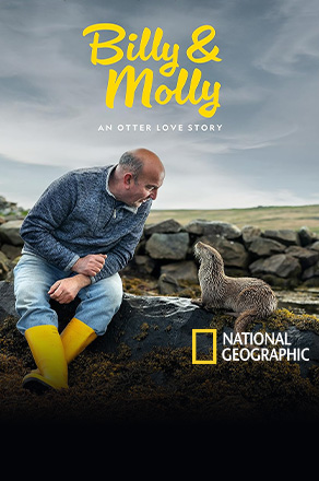 Billy & Molly: An Otter Love Story 